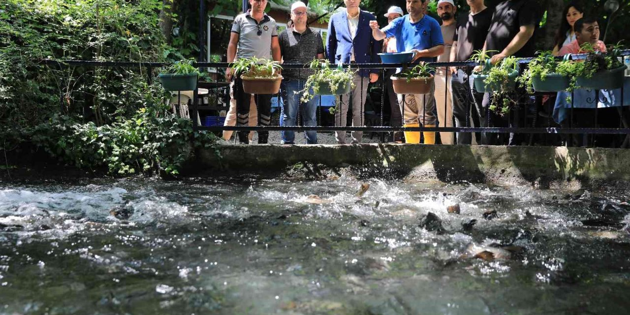 Alabalık Yetiştiriciliğini A’dan Z’ye Öğrendiler