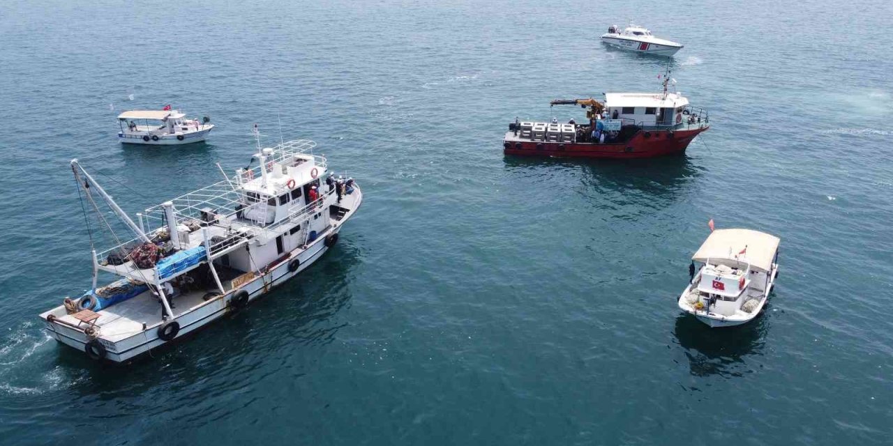Balıkların Üremesi İçin Yüzlerce Yapay Resif Denize İndirildi