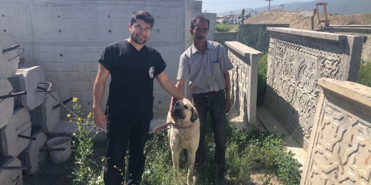 Akşehir Belediyesi Sahipsiz Sokak Köpeklerini Sahiplendiriyor