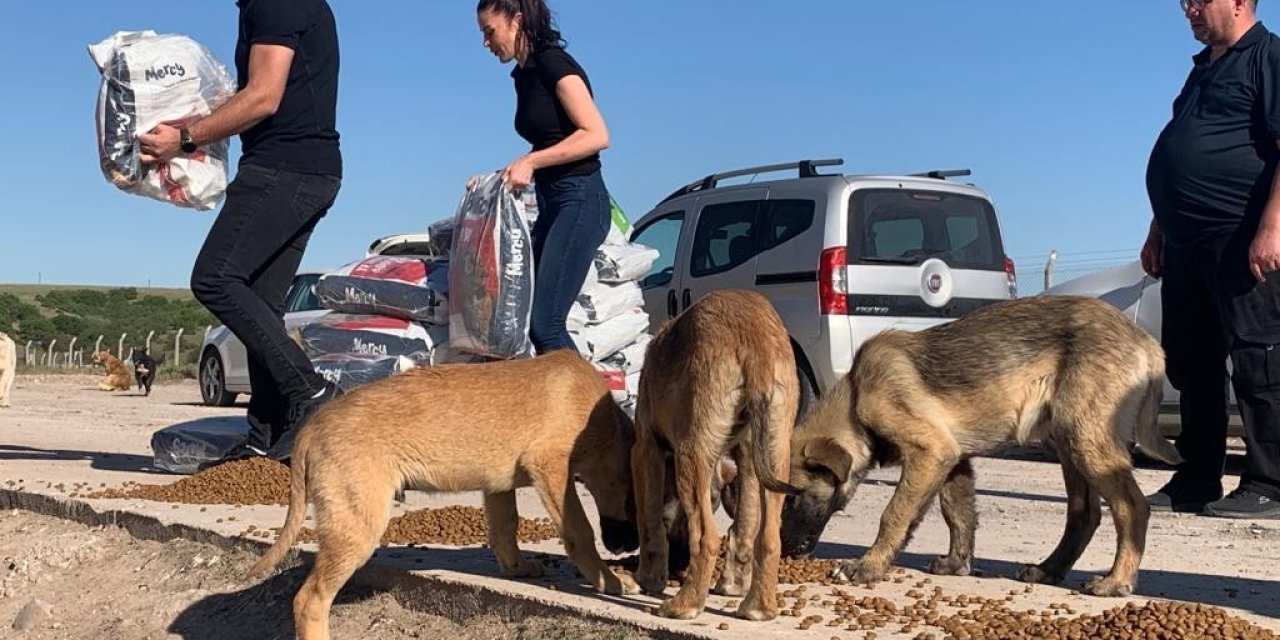 Sokak Hayvanlarına İşitme Engelliler Umut Oldu
