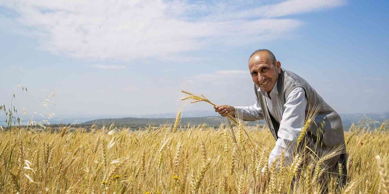 Mersin’de Üreticilere Kuraklığa Dayanıklı Buğday Tohumu Dağıtıldı