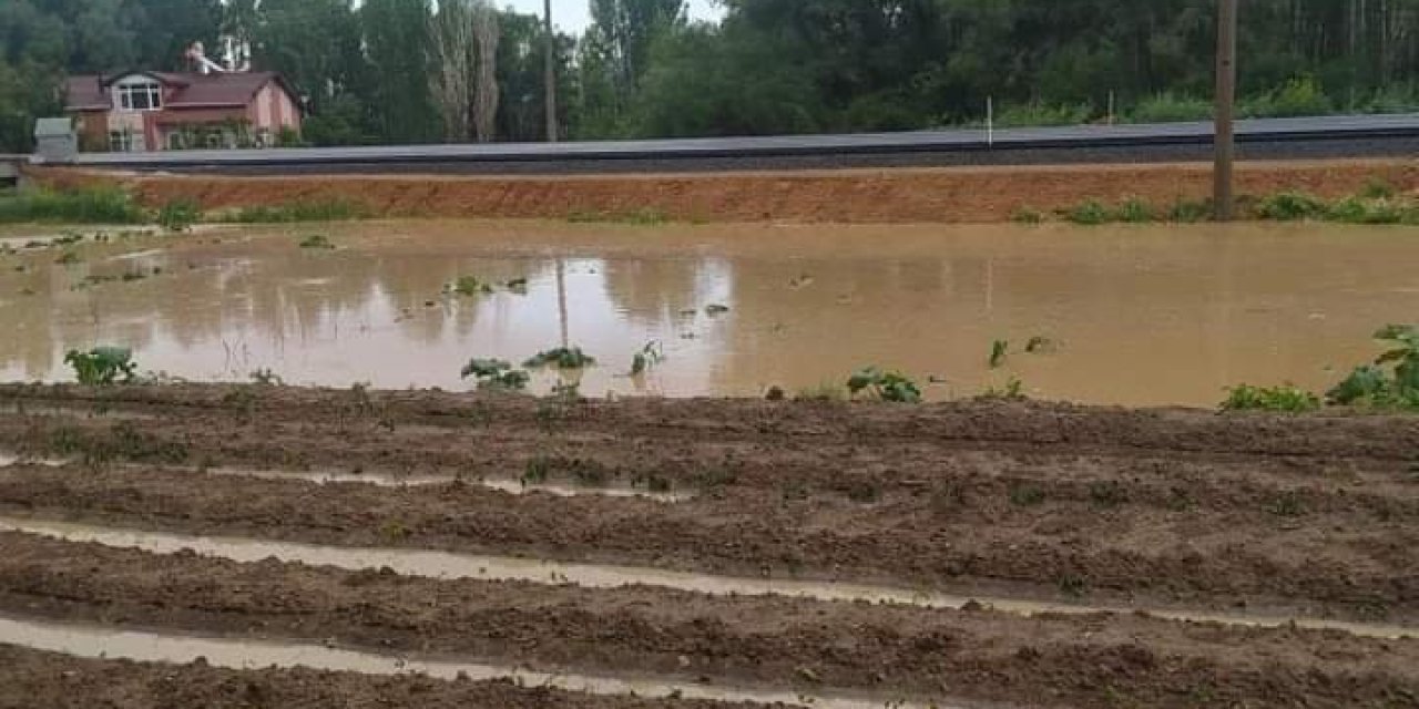 Beyşehir’de Yağış Çiftçinin Yüzünü Güldürdü