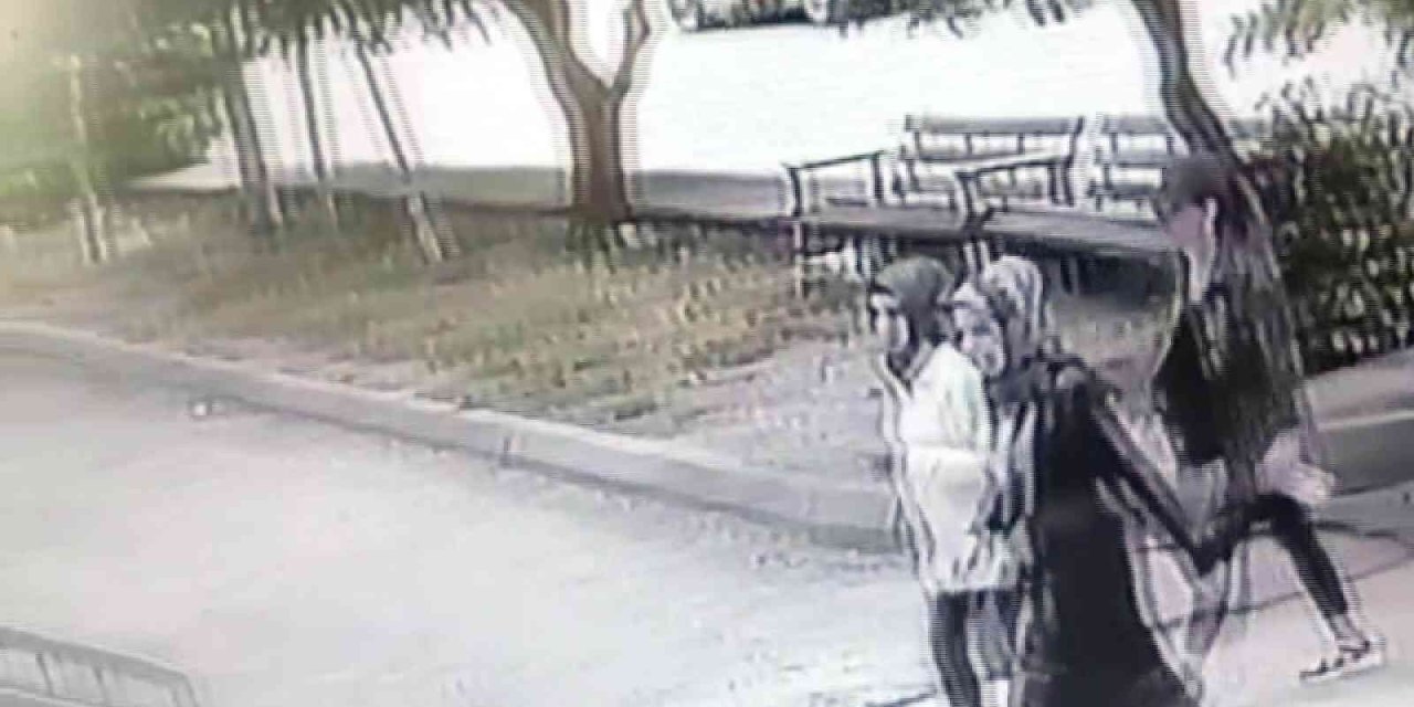 Ev Fareleri Önce Kameraya Sonra Polise Yakalandı