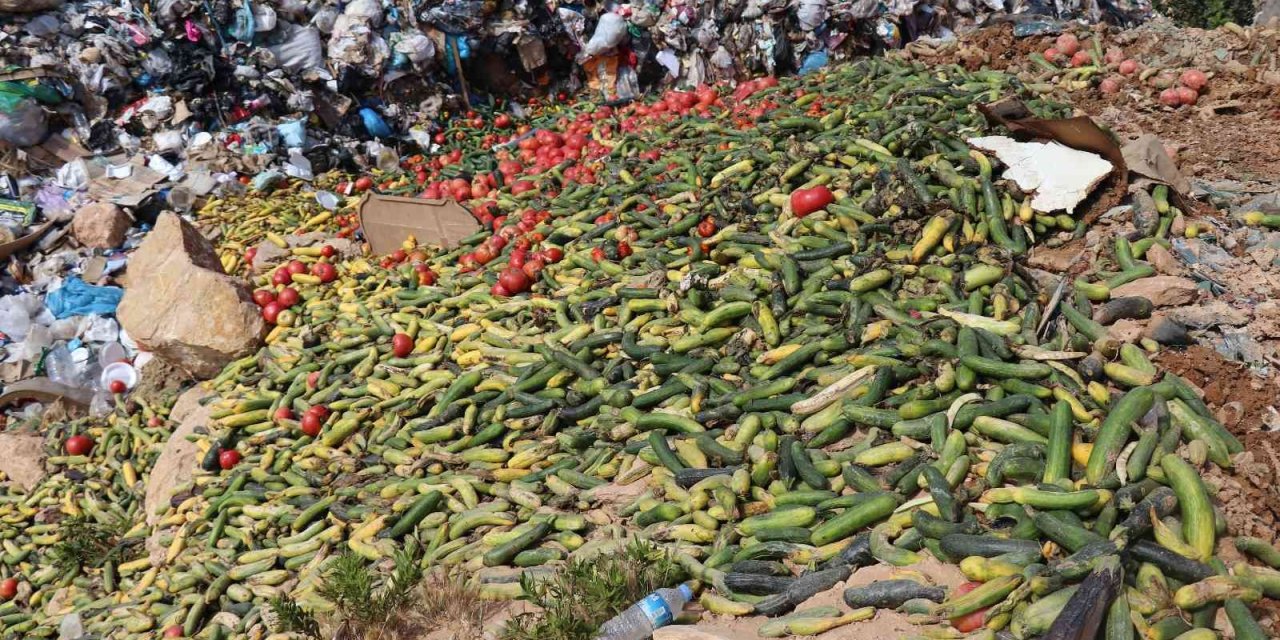 Antalya’da Çöpe Dökülen Sebze Açıklaması: "insan Sağlığını Tehdit Eden Ürünler"