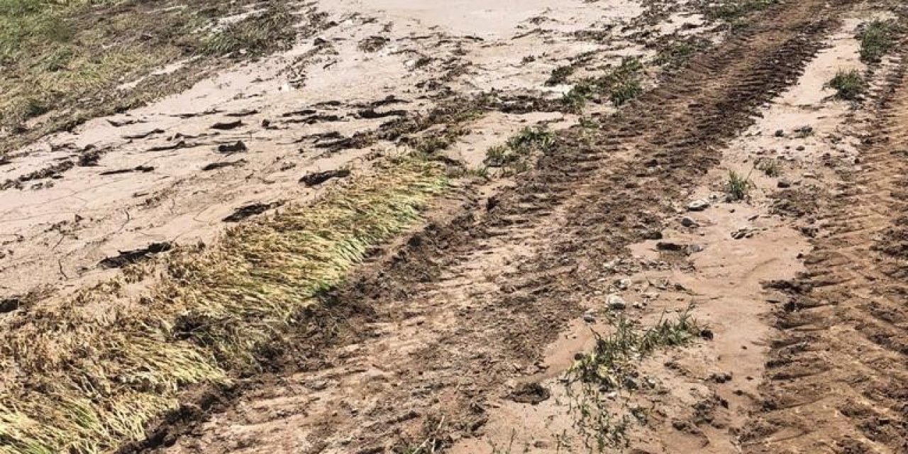 Kulu’da Şiddetli Yağışlar Yaklaşık 3 Bin Dekar Ekili Alana Zarar Verdi