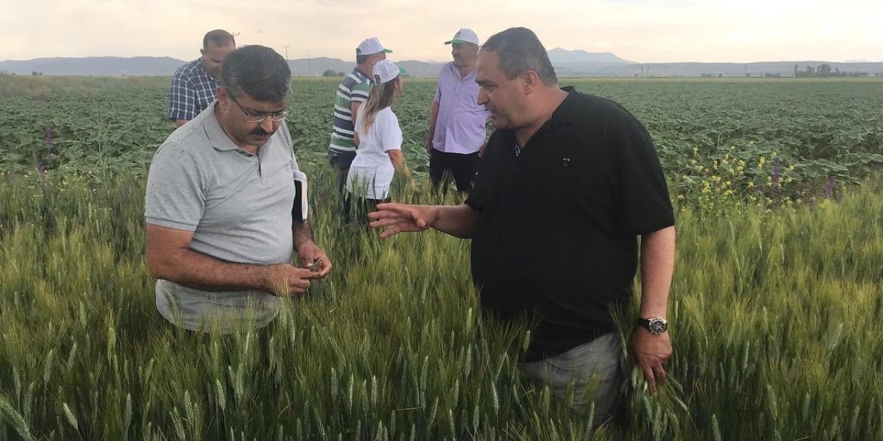Aksaray’ın Tarım Arazilerinde İnceleme