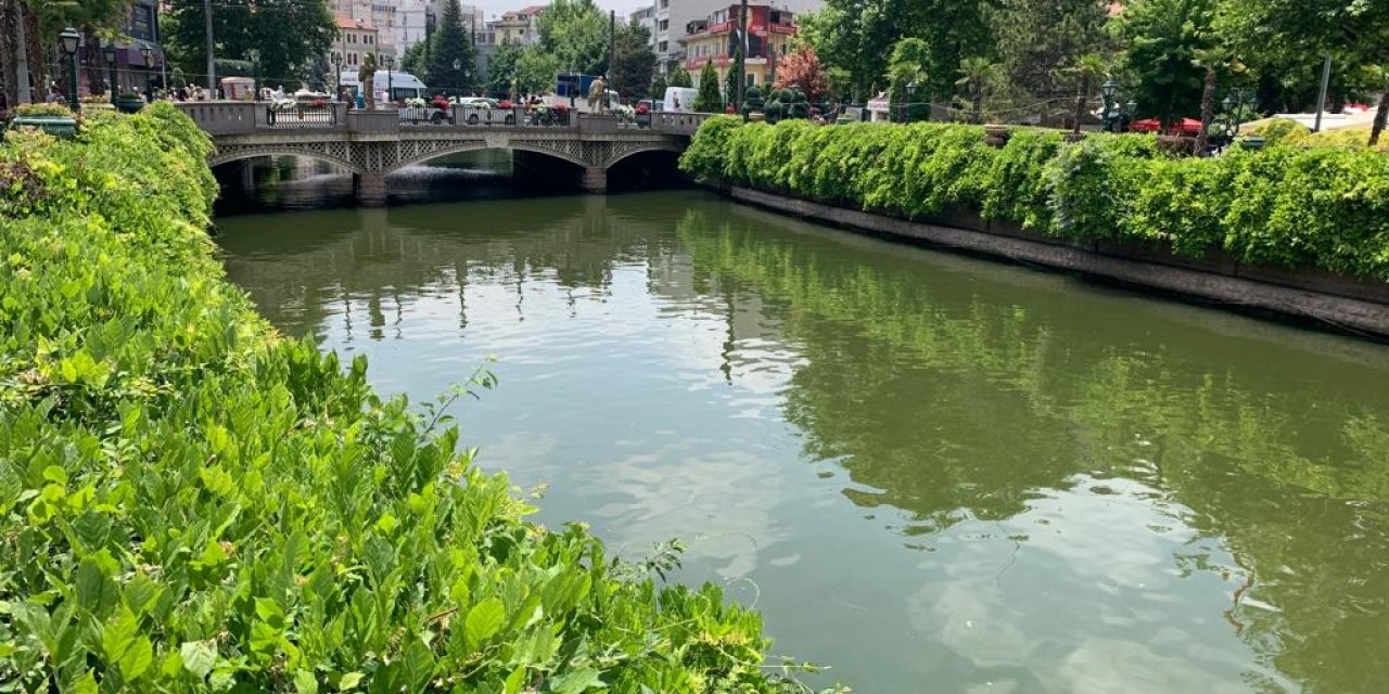 Porsuk Çayı Kenarları Yeşil Örtüyle Kaplandı