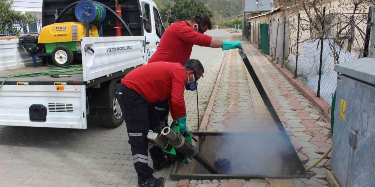 Sineksiz  Yaz İçin Yoğun Mücadele