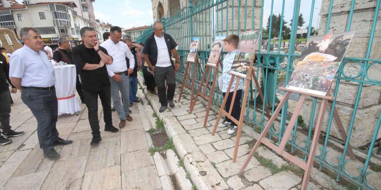 Yeşil Alanlardaki Çevre Kirliliği Fotoğraflarla Sergilendi