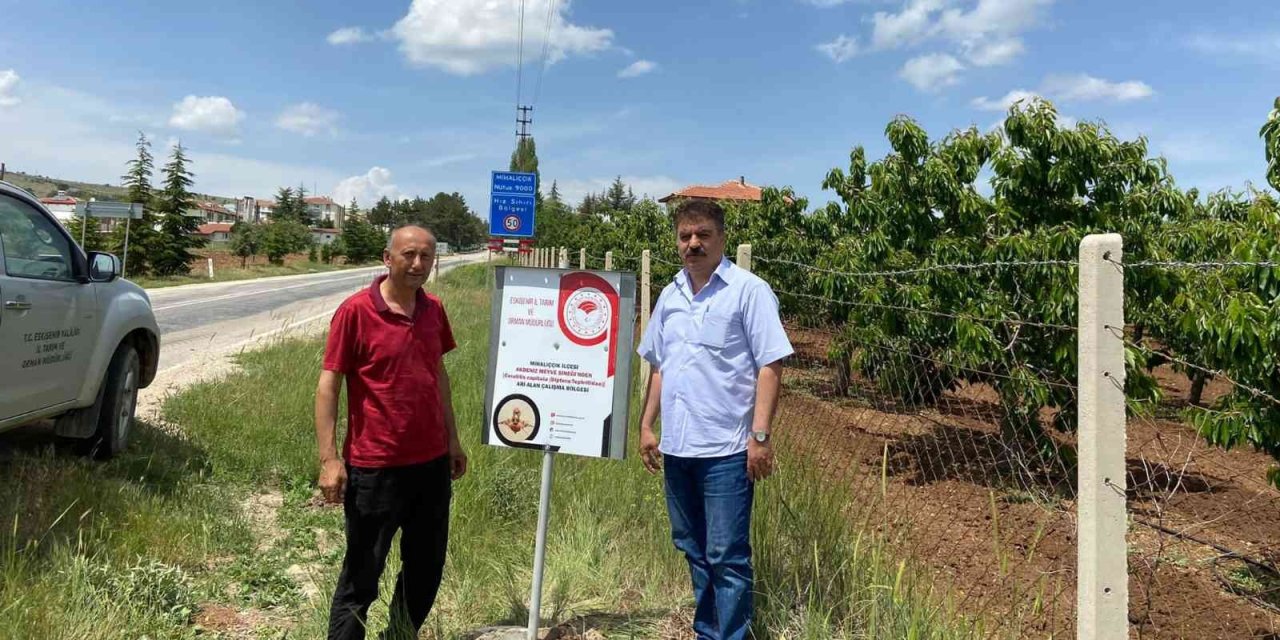 Mihalıççık İlçesi Akdeniz Meyve Sineğinden Ari Alan Tesis Edildi