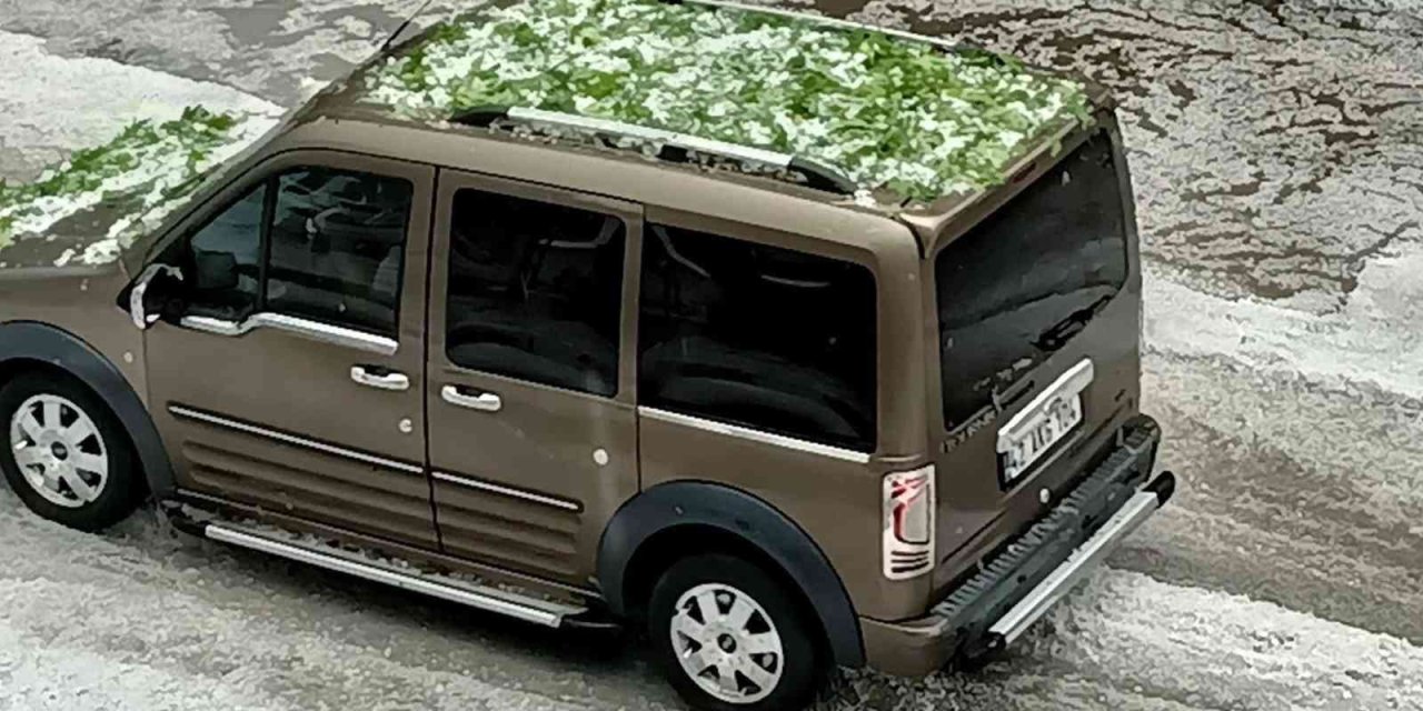 Ceviz Büyüklüğündeki Dolu Ekili Arazilere Zarar Verdi, Ağaçların Yapraklarını Döktü