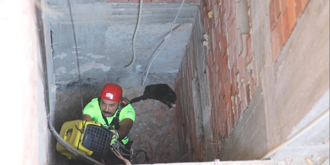 15 Metrelik Apartman Boşluğuna Düşen Kediyi Kurtarma Operasyonu