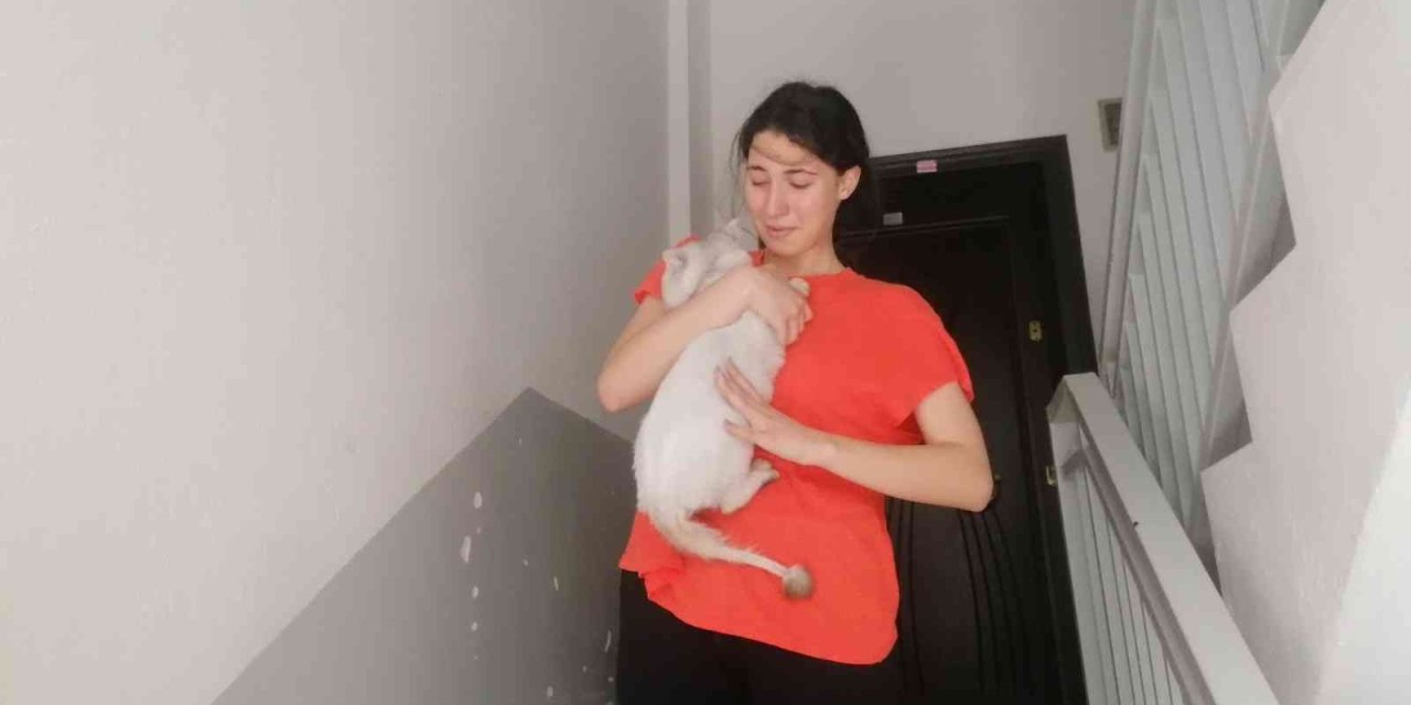 Lise Öğrencisi, Kedisi Duman’a Kavuşunca Sevinçten Ağladı