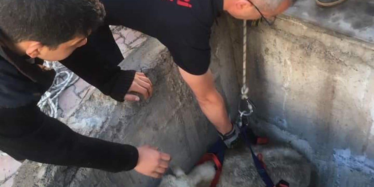 Kuyuya Düşen Koyunu İtfaiye Kurtardı