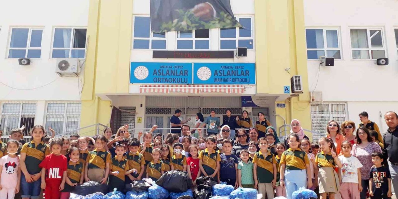 Tekvandocu Ev Hanımlarından Örnek Hareket