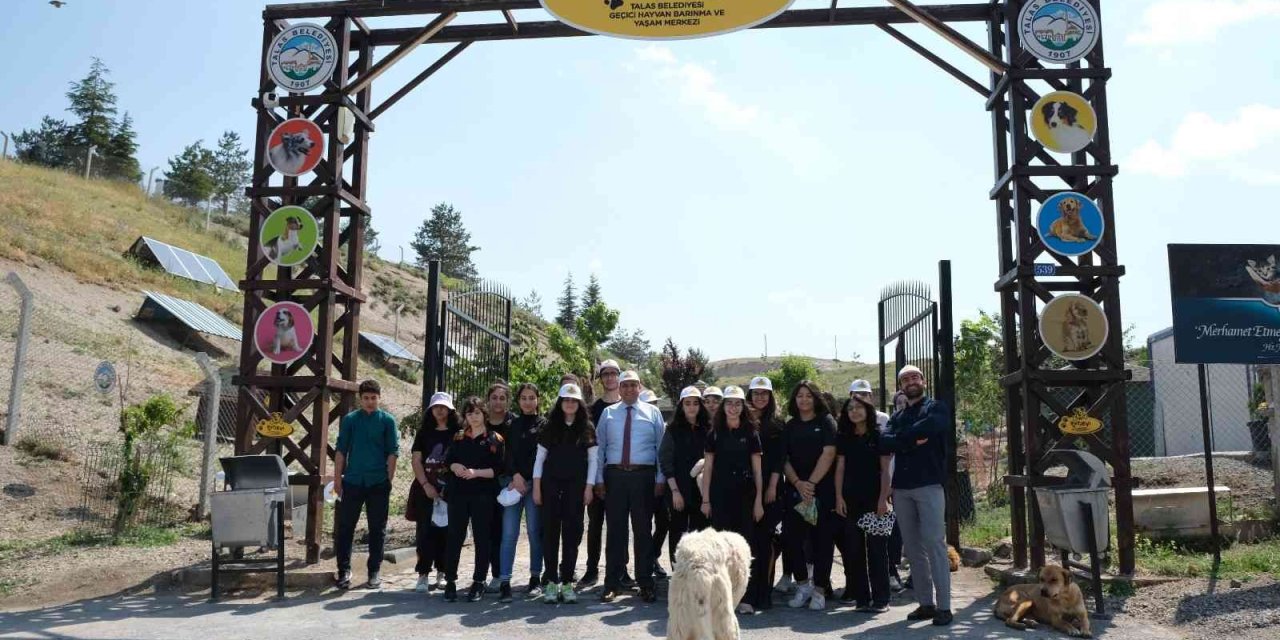 Tekden Öğrencilerinden Sokak Hayvanları İçin ‘ver Elini Tut Patimi’ Kampanyası