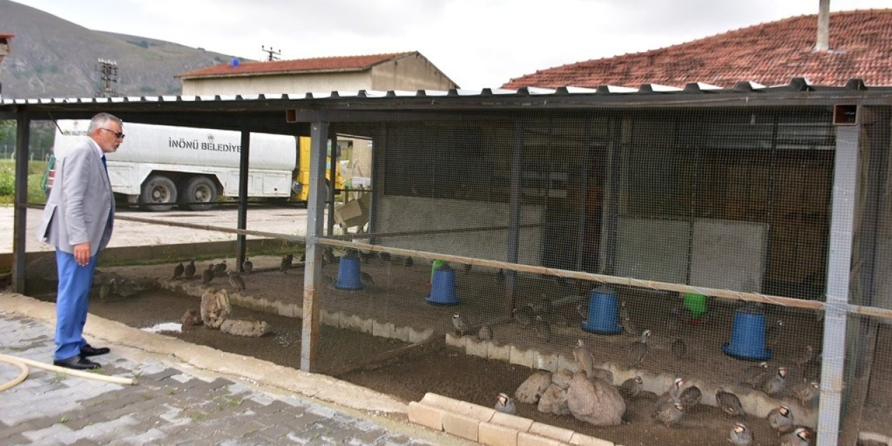 Bölgenin Tek Keklik Üretim Çiftliği Büyümeye Devam Ediyor