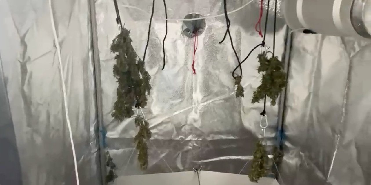 Evinin Tuvaletinde Uyuşturucu Yetiştiren Şüpheli Suçüstü Yakalandı