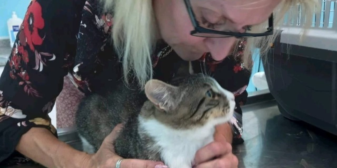 Bir Bacağı Ampute Kediyi Bulana 2 Bin Tl’lik Ödül