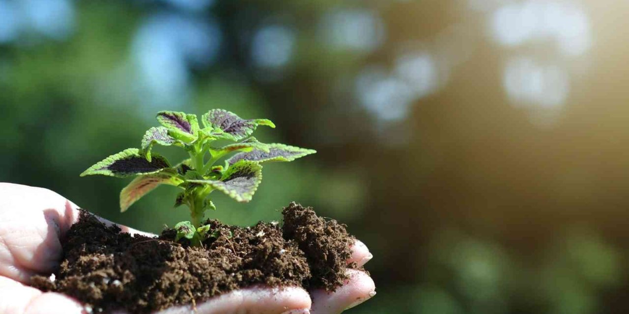 Anketler ‘nükleer’ Diyor