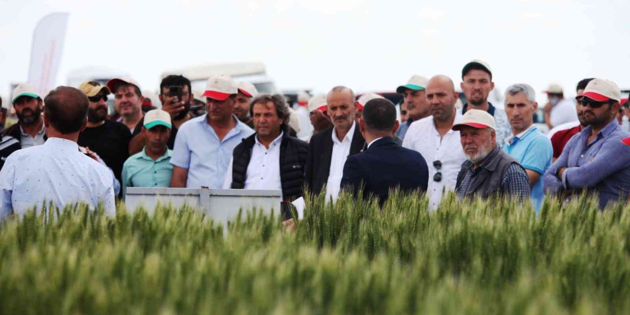 Konya’da Tarla Günü’nde Yeni Hububat Çeşitleri Tanıtıldı