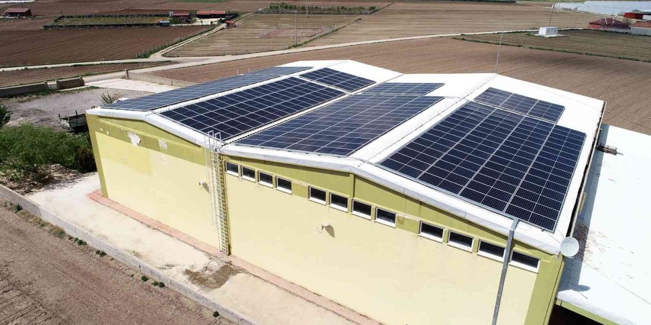 Soğuk Hava Deposu Da Temiz Enerji Üretmeye Başladı