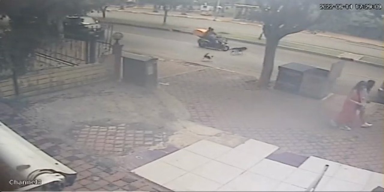 Kediden Kaçan Köpeğe Motosiklet Çarptı, O Anlar Kameraya Yansıdı