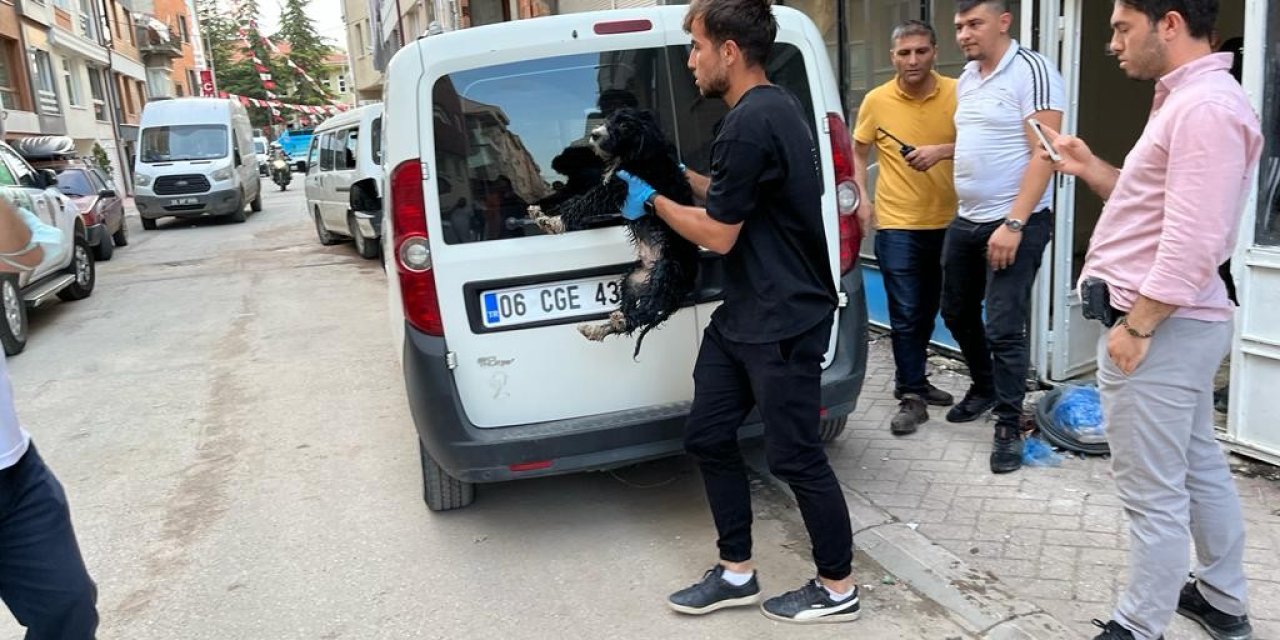 Boş Dükkâna Bağlanan Köpek Hayvan Severlerin İhbarıyla Kurtarıldı