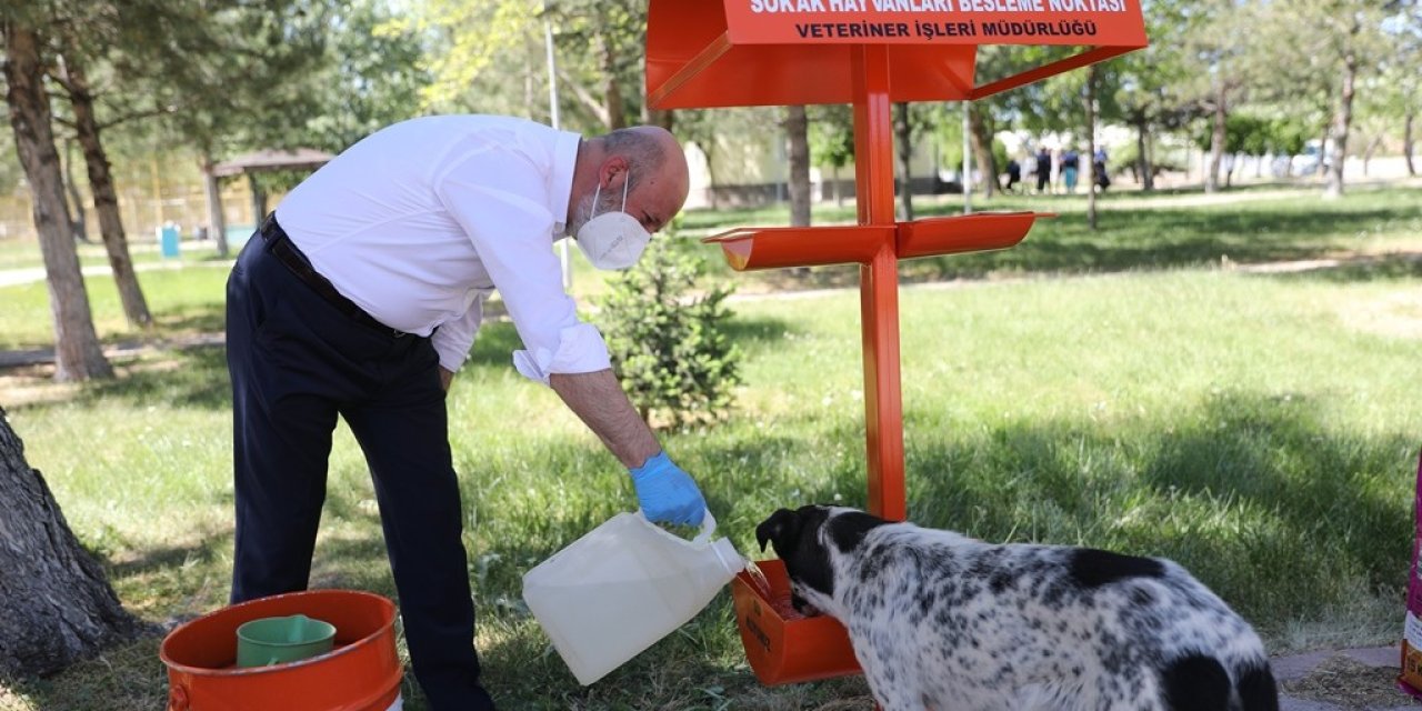 Kocasinan Belediyesi’nin Küçük Dostlar Çalışmalarına Liseli Öğrencilerinden Destek