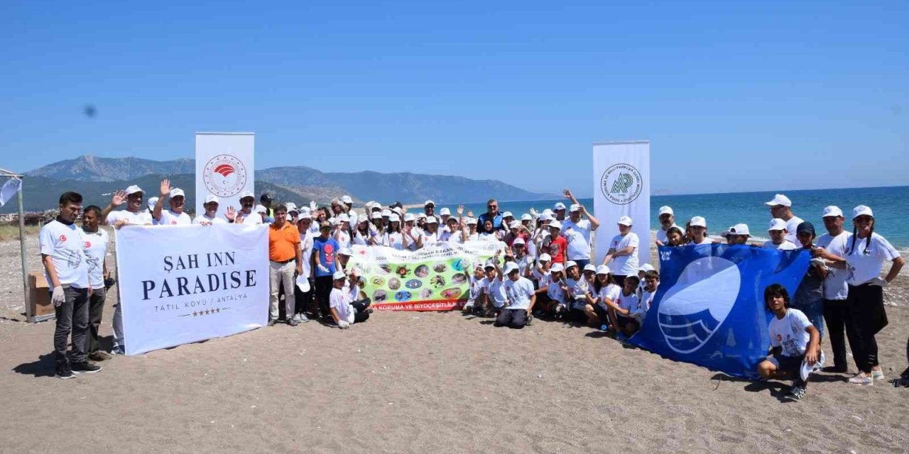 Akdeniz’deki Ekosistemin Kalbi: Caretta Carettalar