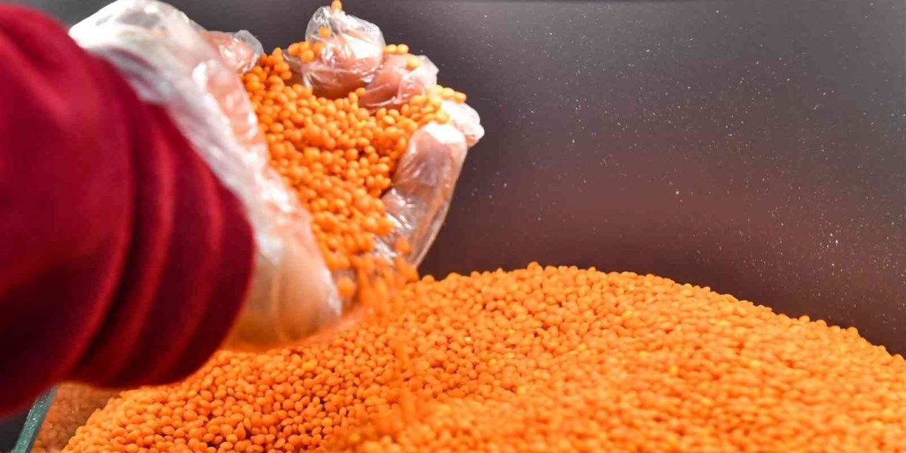 Kırmızı Mercimek, Bu Yıl Üreticinin Yüzünü Güldürecek