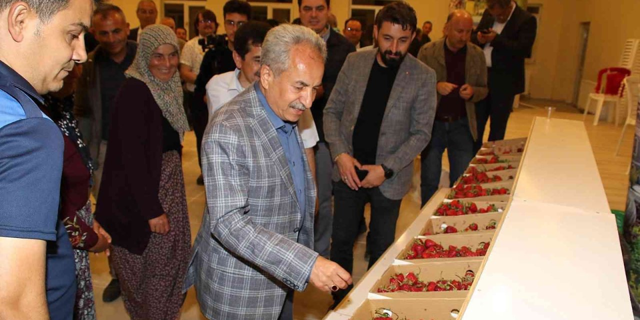 Akşehir Belediyesi Çilek Şenliğine Yoğun İlgi