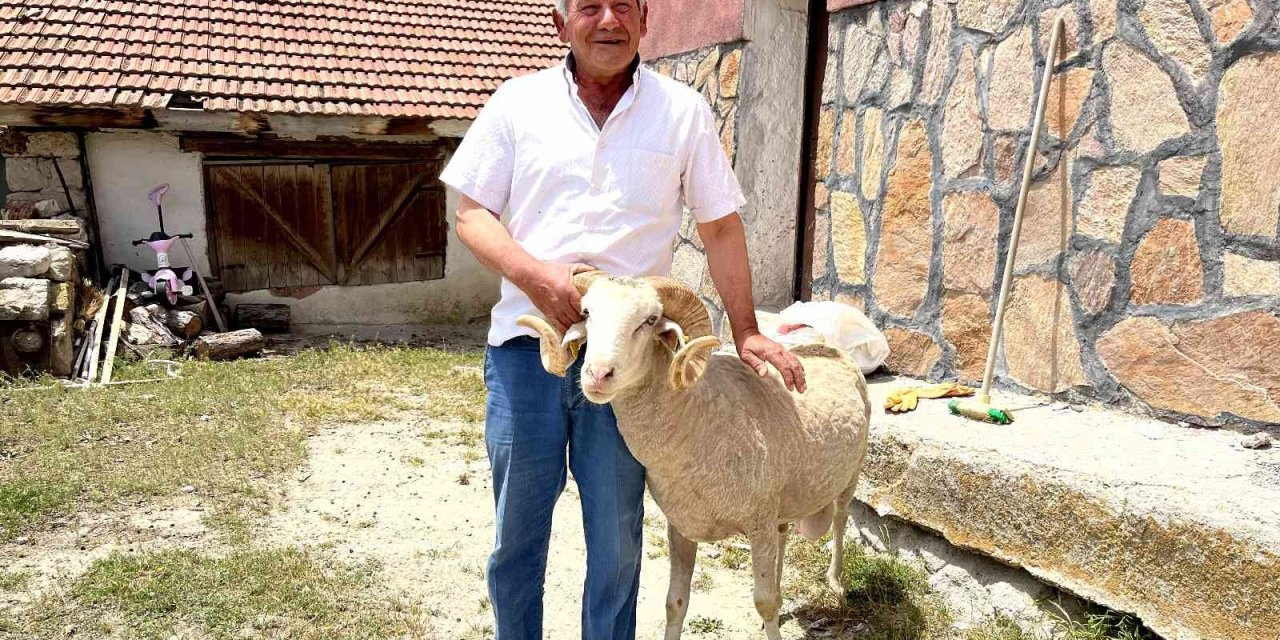 Vefakar Koç Dağı Taşı Aşıp Eski Sahibine Geldi