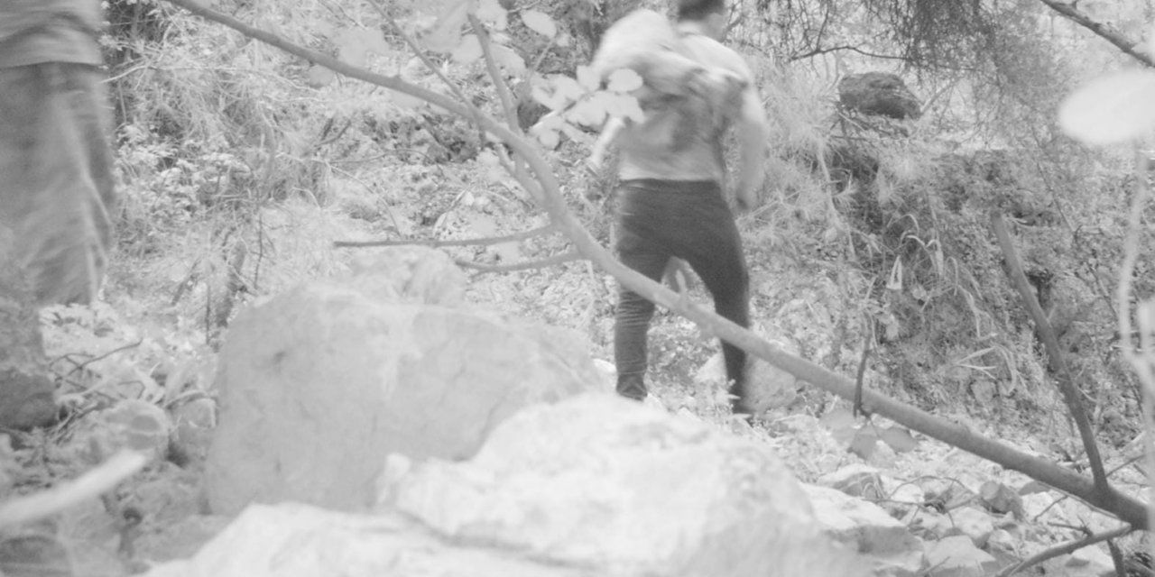 Yaban Keçisi Avcılarına 155 Bin Tl’lik Ceza