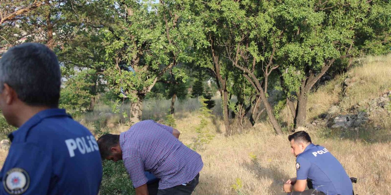 Mesire Alanında Kan Donduran Görüntü