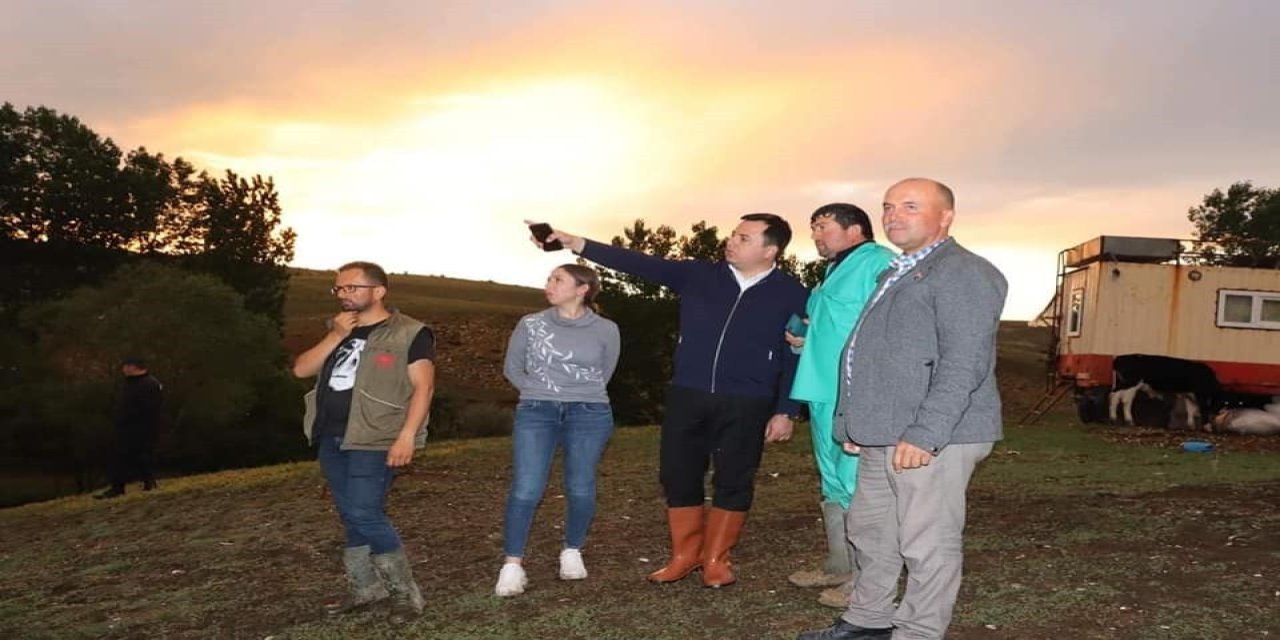 Yaylada Sel Sonrası 23 Küçükbaş Hayvan Telef Oldu