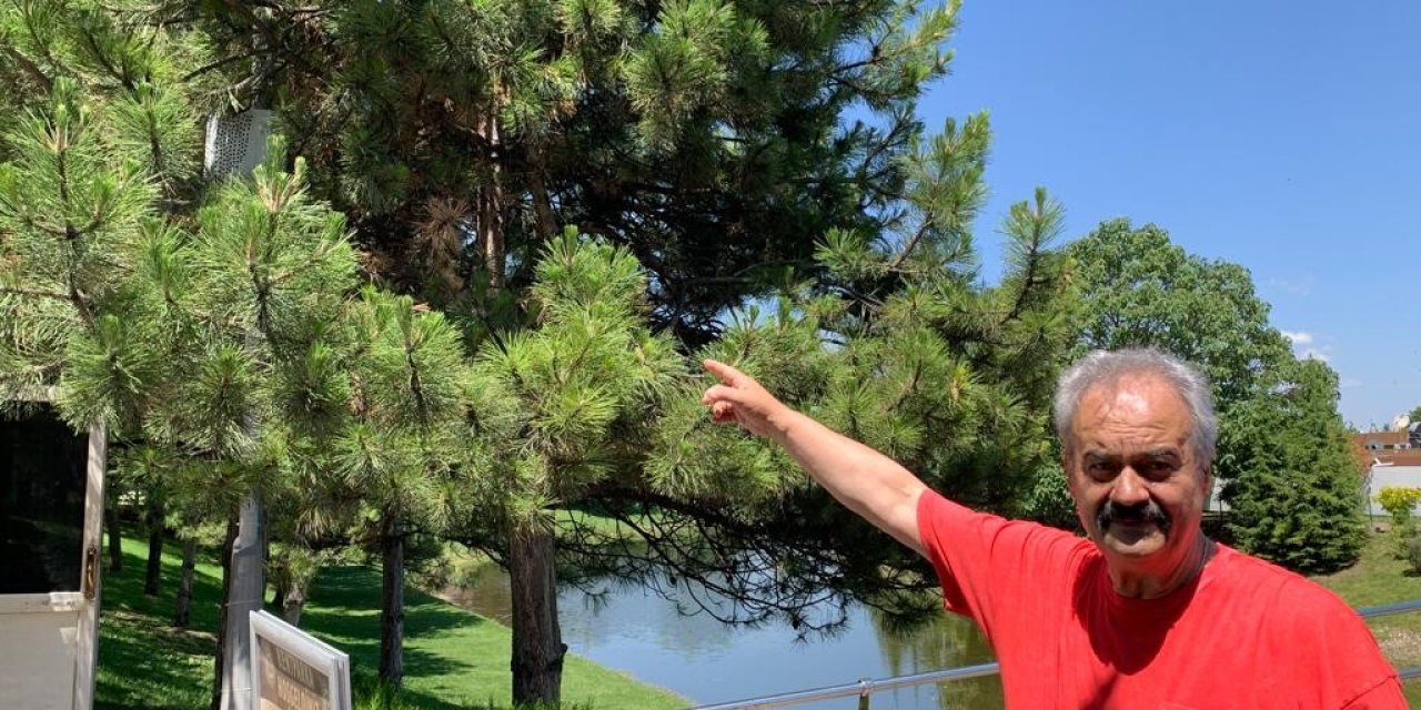 Belediyenin Koyduğu Cihazın Köpekleri Engellediği İddiası