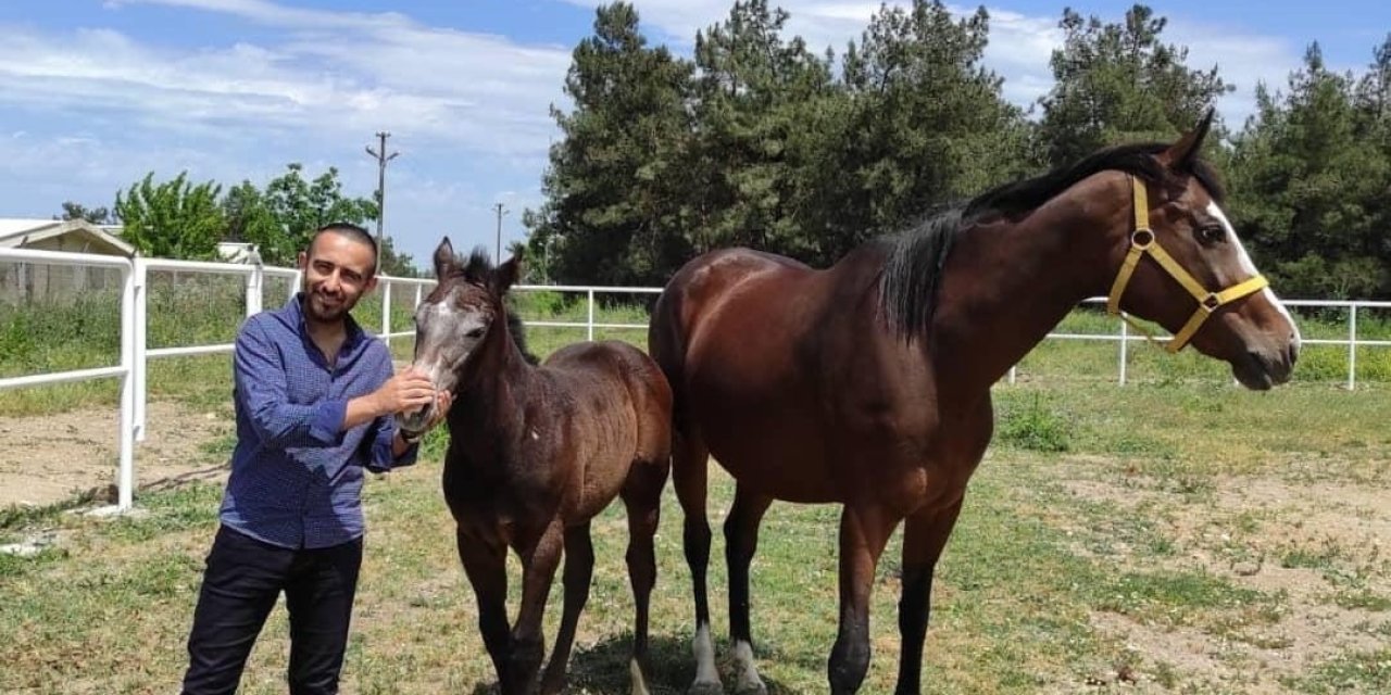 Türk Atçılığı Bilimsel Çalışmalar Işığında Parıldıyor