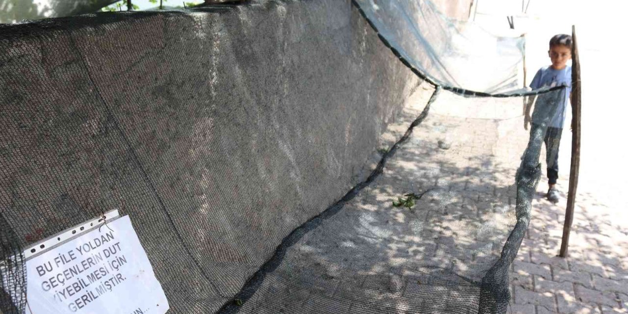 Seyit Amca Gönülleri Fethetti