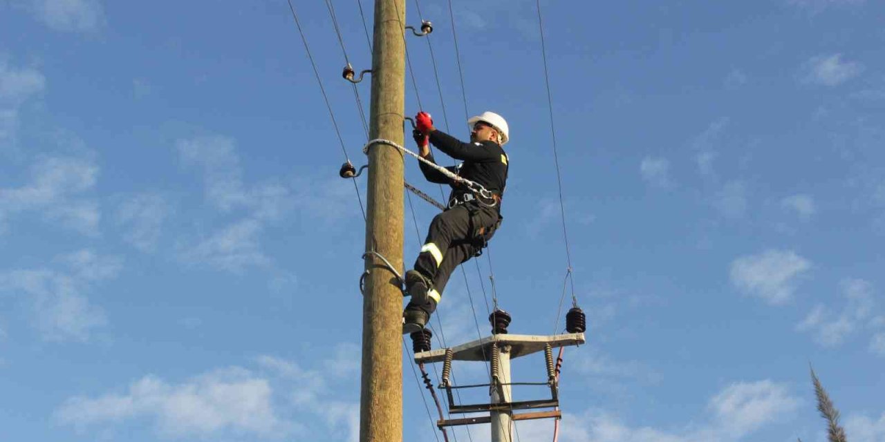 Aedaş, Vatandaşları Elektrik Şebekelerine Müdahale Edilmemesi Konusunda Uyardı