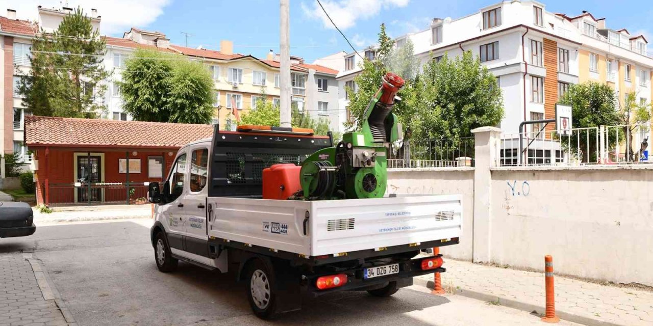 İlaçlama Çalışmaları Sürüyor