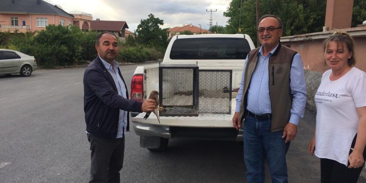 Yaralı Kuşlara Yardım Eli