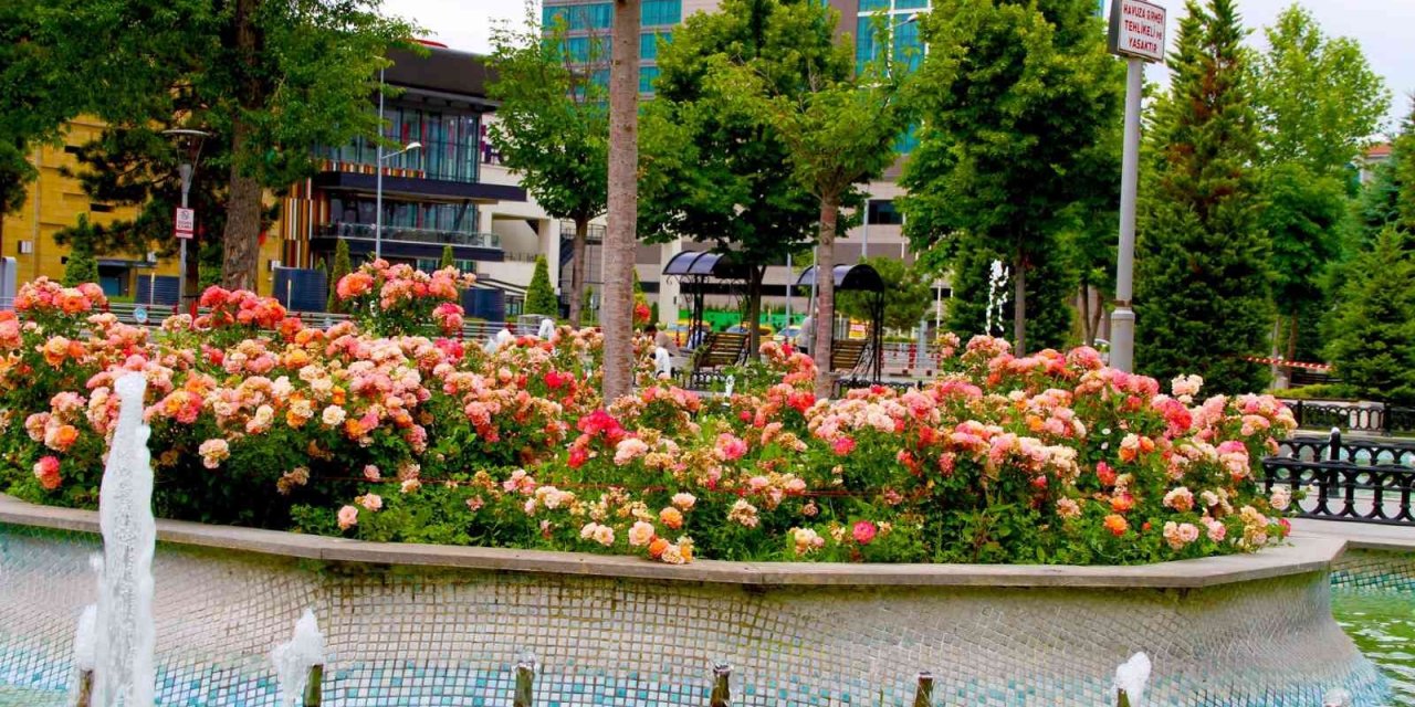 Büyükşehir Belediyesinden ’en Güzel Bahçe’ Yarışması