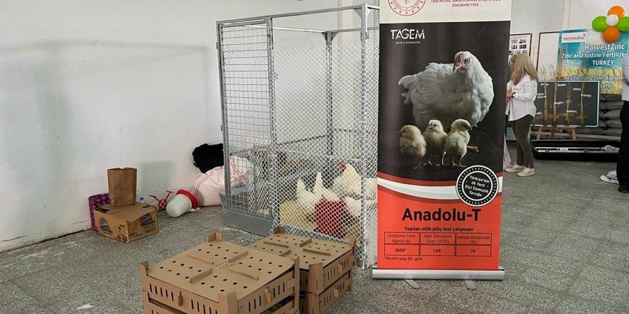 ‘anadolu-t’, Tarla Günü’nde Görücüye Çıktı