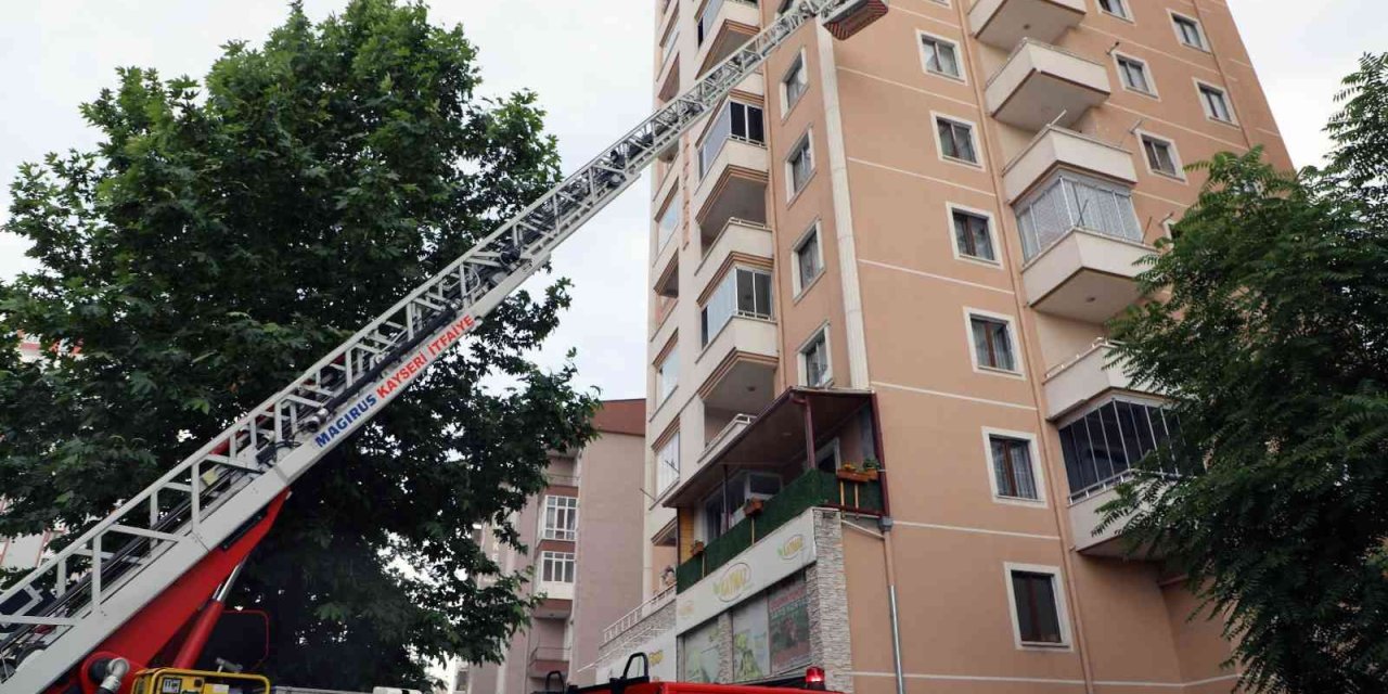 Arılar Oğul Verdi, Belediye Duvardan İndirdi