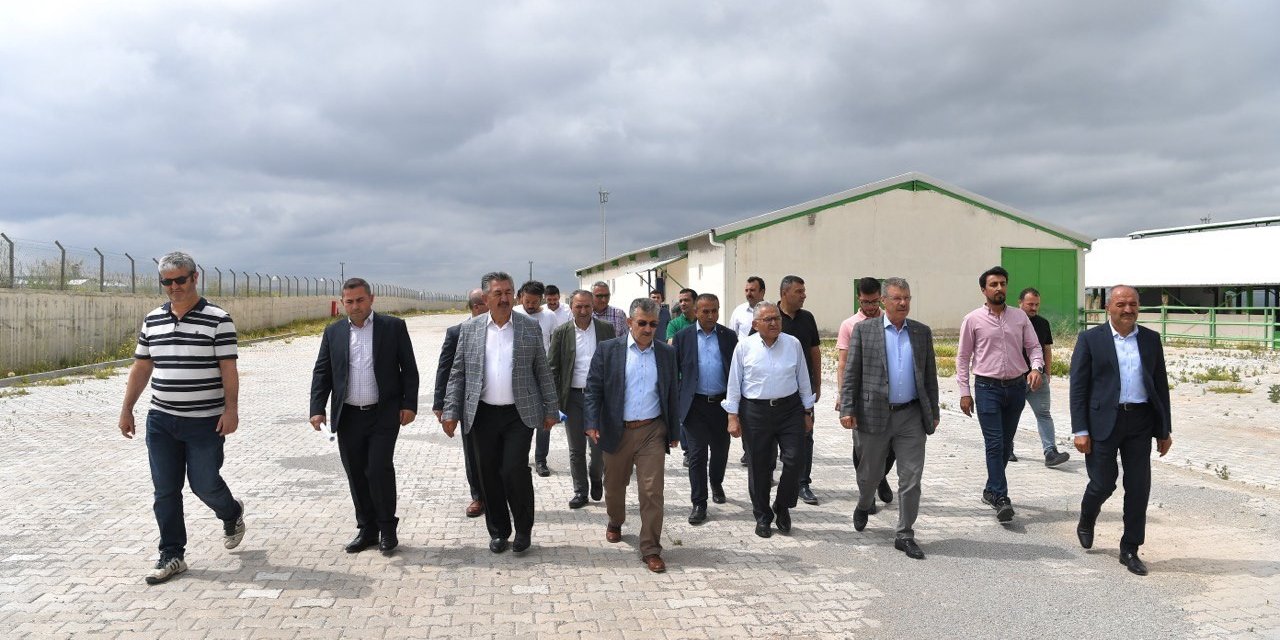Başkan Büyükkılıç’tan Felahiye’de Hayvancılığa Yeni Hamle