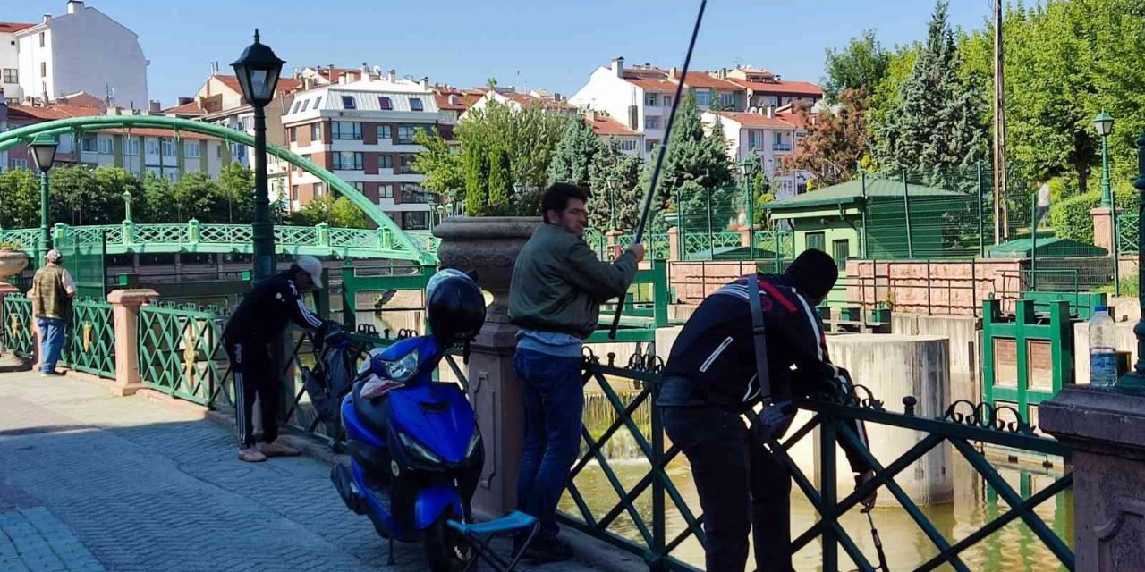 Amatör Balıkçılar Pazar Sabahını Porsuk Kenarında Geçirdi