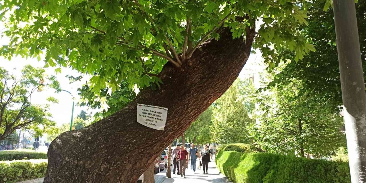 Ağaçlara Asılan Notlarla Doğaya, Canlıya Saygı Ve Çevre Kirliliğine Dikkat Çekildi