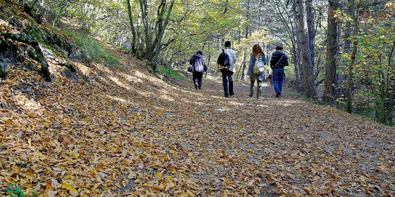 Eskişehir’deki Ormanlık Alanlara Girişler Yasaklandı