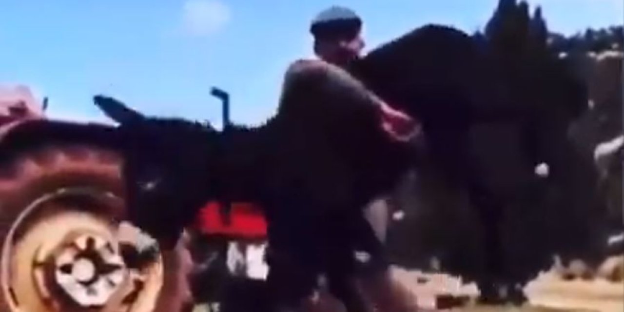 Kırkpınar Başpehlivanının Başarısında ’eşek’ Sırrı